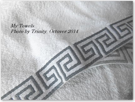 Vol 622 インテリアモチーフ ギリシャ雷文 Trinity